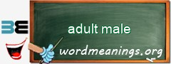 WordMeaning blackboard for adult male